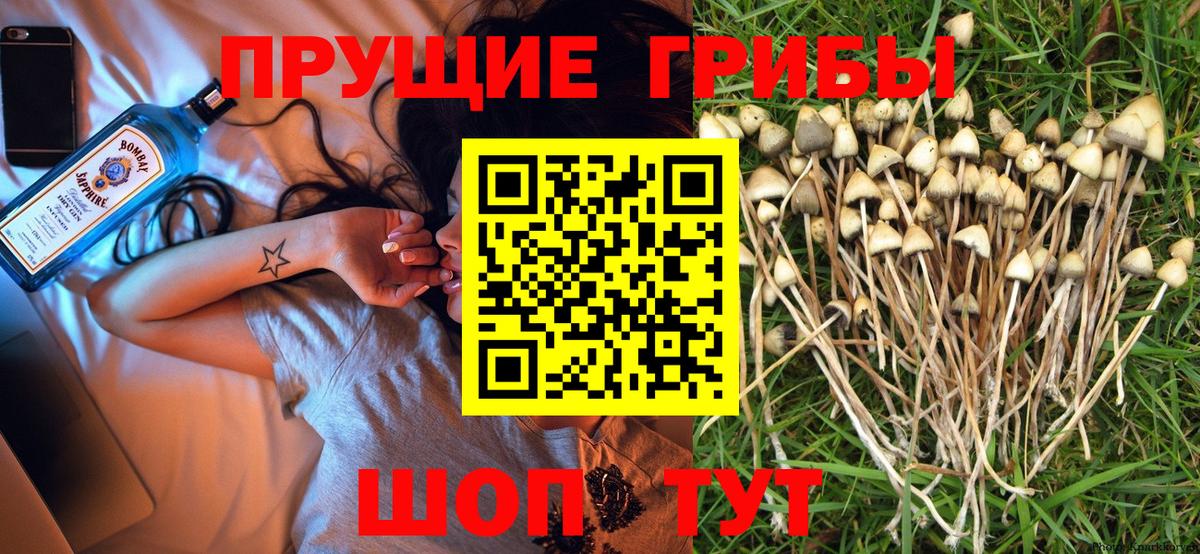 Калининград  Галлюциногенные грибы мухоморы  Псилоцибиновые грибы GOLDEN TEACHER  Вход с VPN 